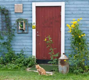 Rote Tür in einer blauen Hauswand, vor der eine Katze sitzt