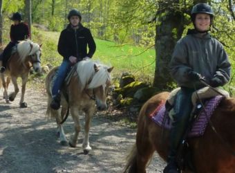 Eine Gruppe Reiter auf einem schwedischen Weg der mit Bäumen gesäumt ist