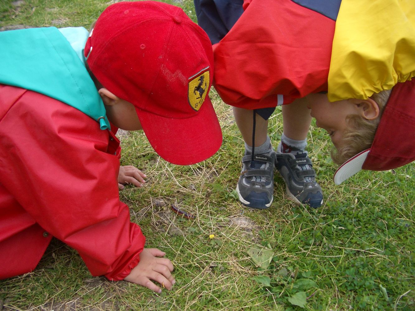 Kinder erkunden und entdecken die Natur